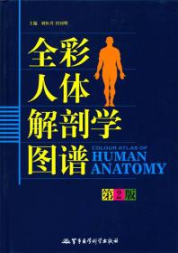 全彩人体解剖图谱