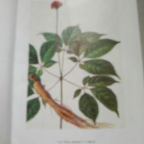 中药辞海(第一卷)(惠友价出售)