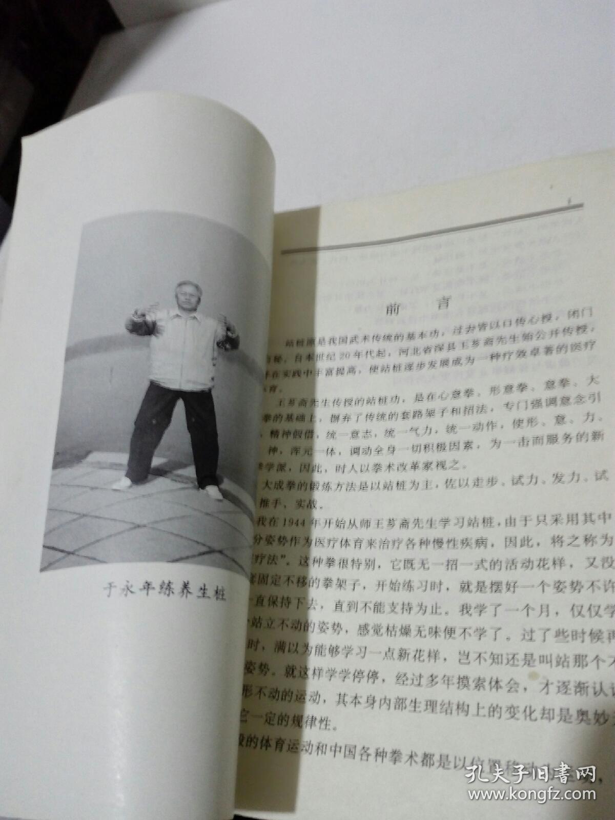 站桩_于永年 著_孔夫子旧书网
