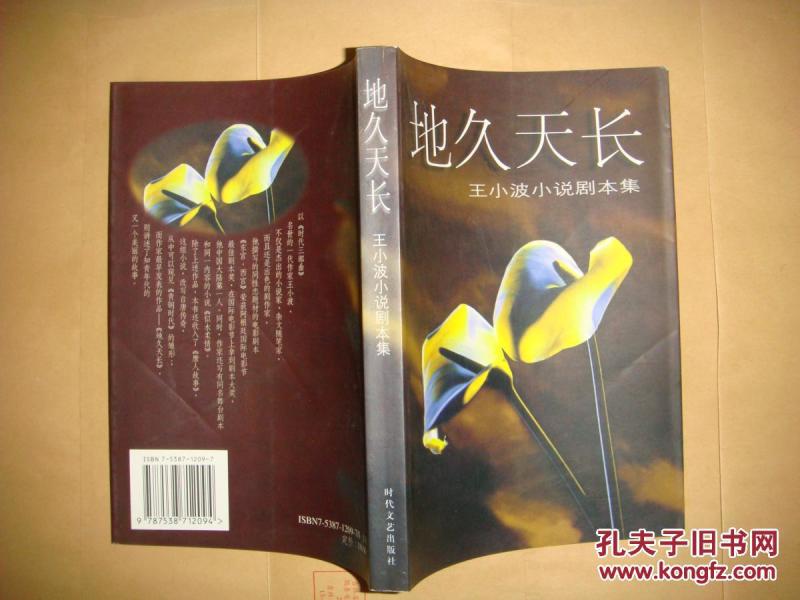 地久天长 王小波小说剧本集_王小波著