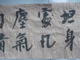 书法:行无愧怍心常坦,身处凡尘气自清