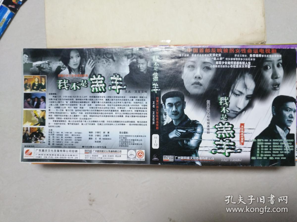 扫黄打拐大型电视连续剧 我不是羔羊 vcd封面
