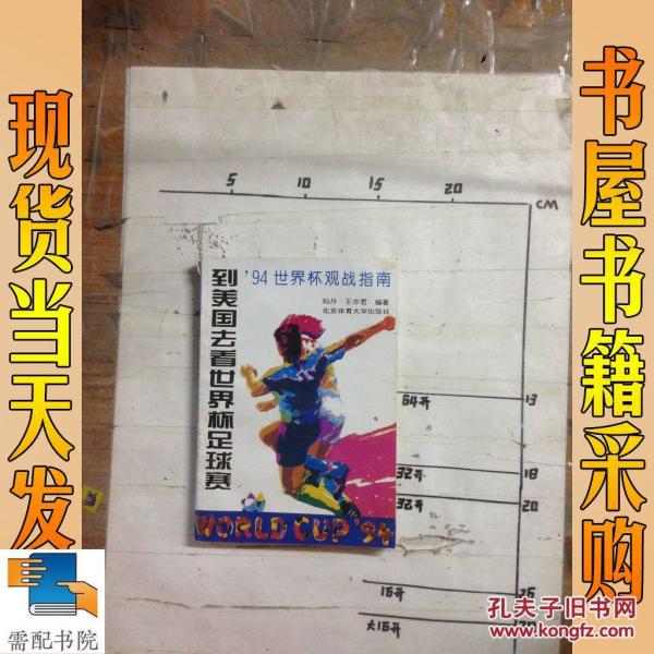 到美国去看世界杯足球赛(94世界杯观战指南)