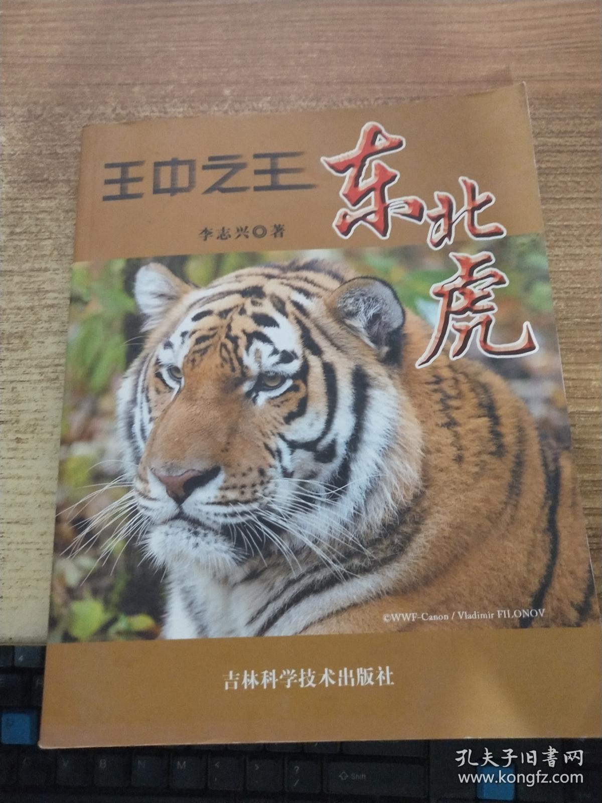 王中之王东北虎