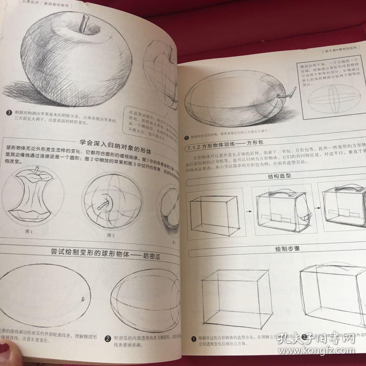 从零起步:素描基础教程