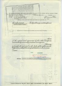 1970年国际海运航海运输巨头Seatrain Lines公