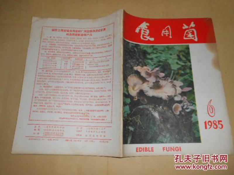 棉籽简谱_木棉籽图片(2)