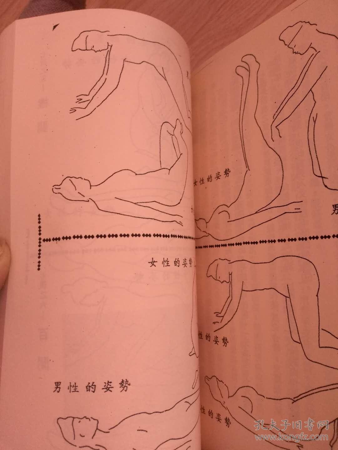 洞玄子房中术【包邮】