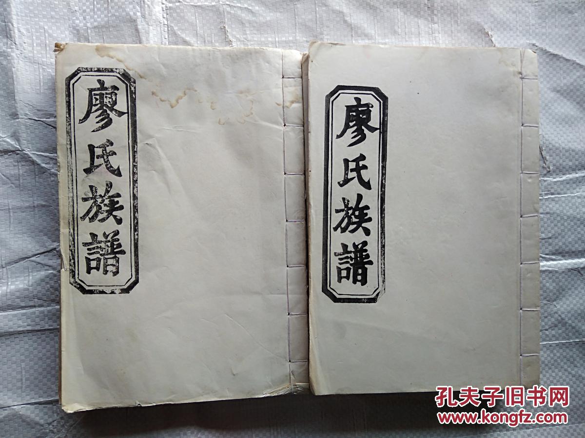 廖氏族谱卷首加18卷共计9卷11册线装油印本