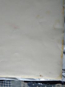 准像大照片53X39CM尺寸。字耿光.民国军事战