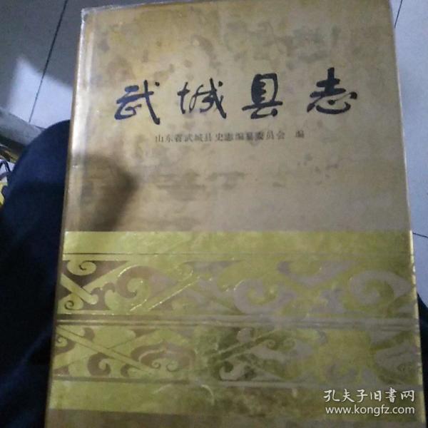 武城县志