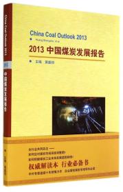 2013中国煤炭发展报告