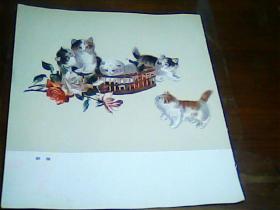 杂志美术单页正面群猫反面金鱼 16开