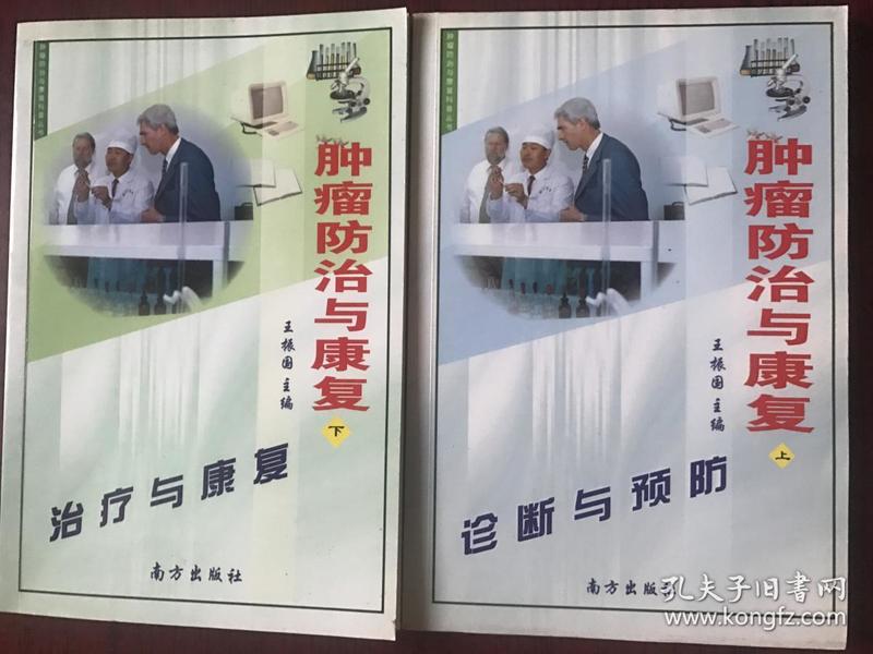世界民族人口数量排名_世界人口数量排名前十(2)