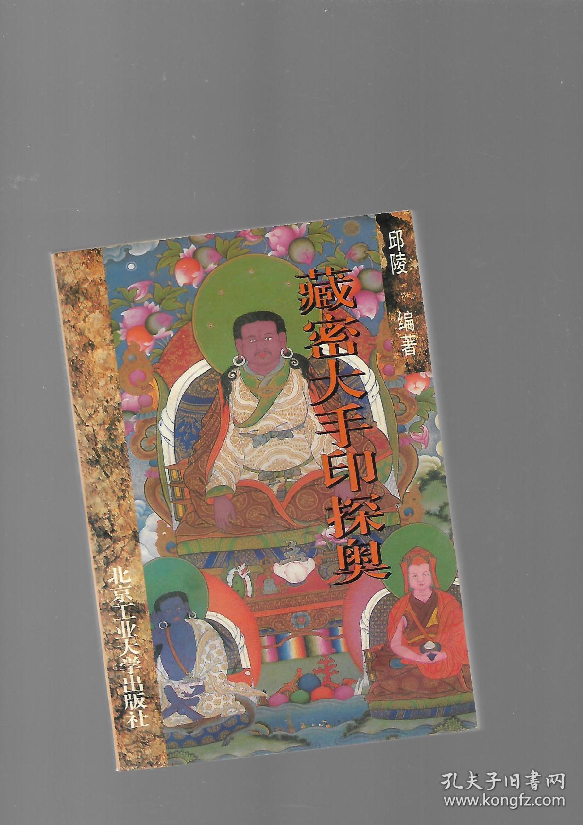 藏密大手印探奥