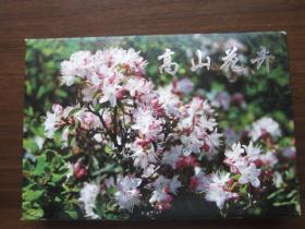 邮资明信片：高山花卉（一套4张全）