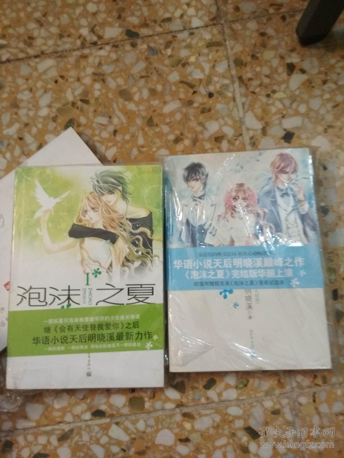 泡沫之夏 (一,二,两本合售)