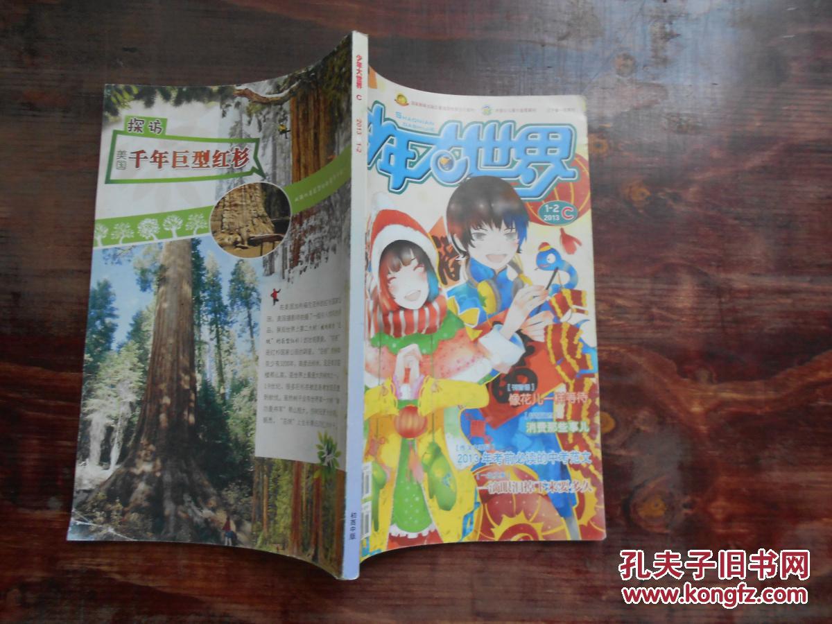 【图】少年大世界 C 2013 1-2_不详