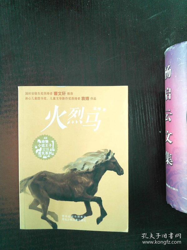 《火烈马》低价购书_袁博_童书_孔网