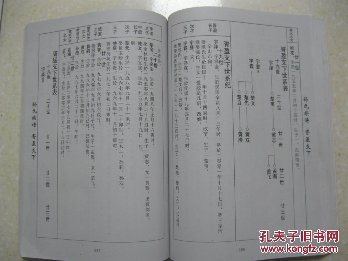 孙氏族谱(第十卷.