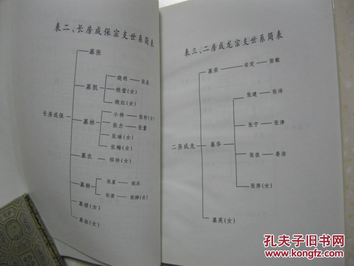 张氏少斋公宗支世系表(张氏宗谱.江苏省扬州市一带.一