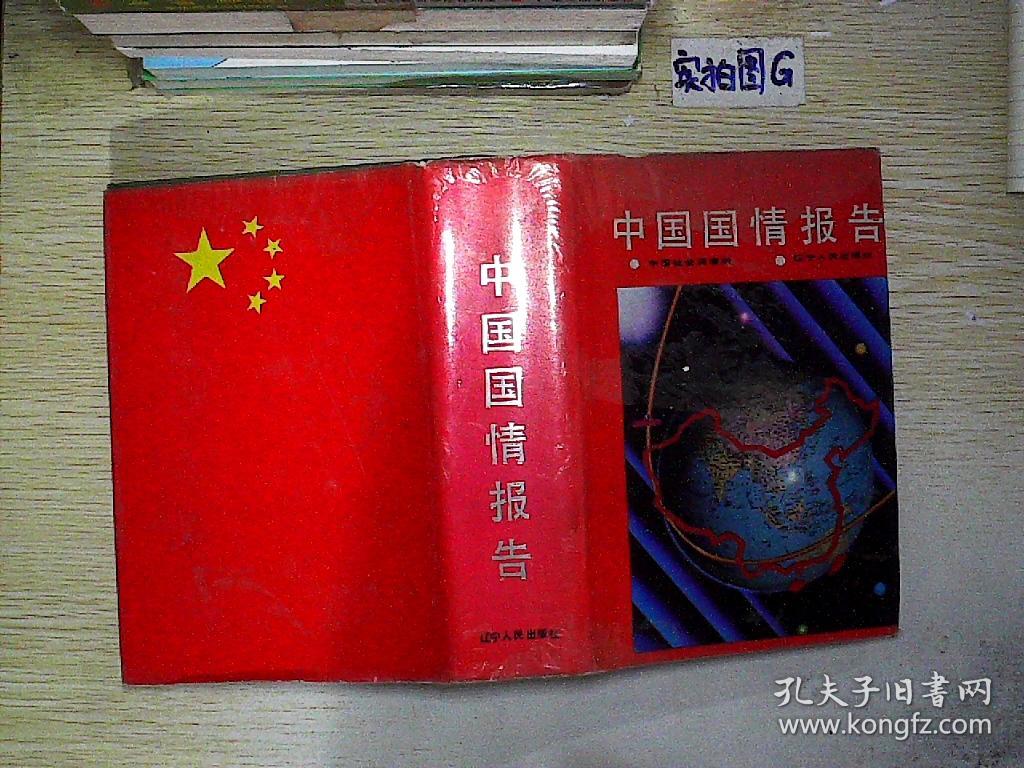 中国国情报告.