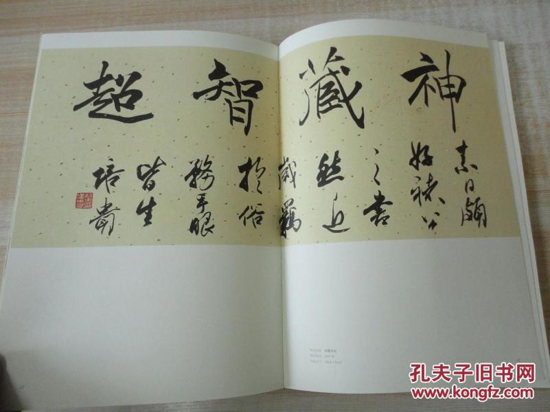 8开《中国美术馆当代名家系列作品集 书法卷 叶培贵 》内有签名 见图图片