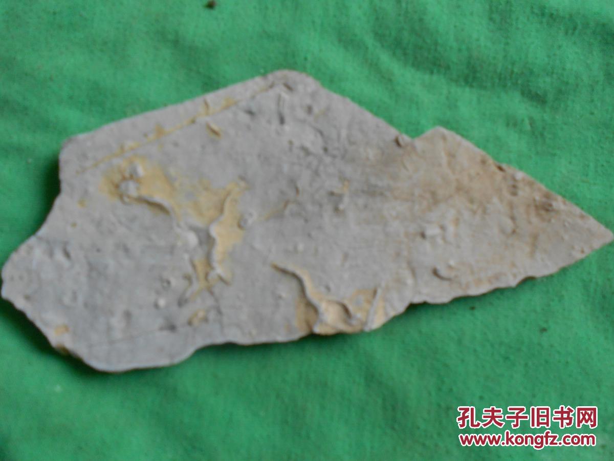 寒武纪化石18(结缘处理价)上有三条形似弧线的虫体和一个小蝴蝶虫