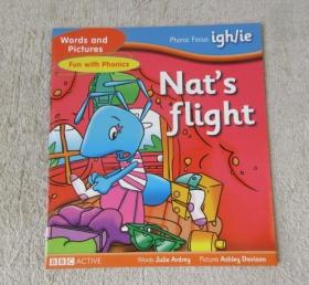 Nat's flight（Words and Pictures Fun with Phonics , Phonic Focus: igh/ie）
