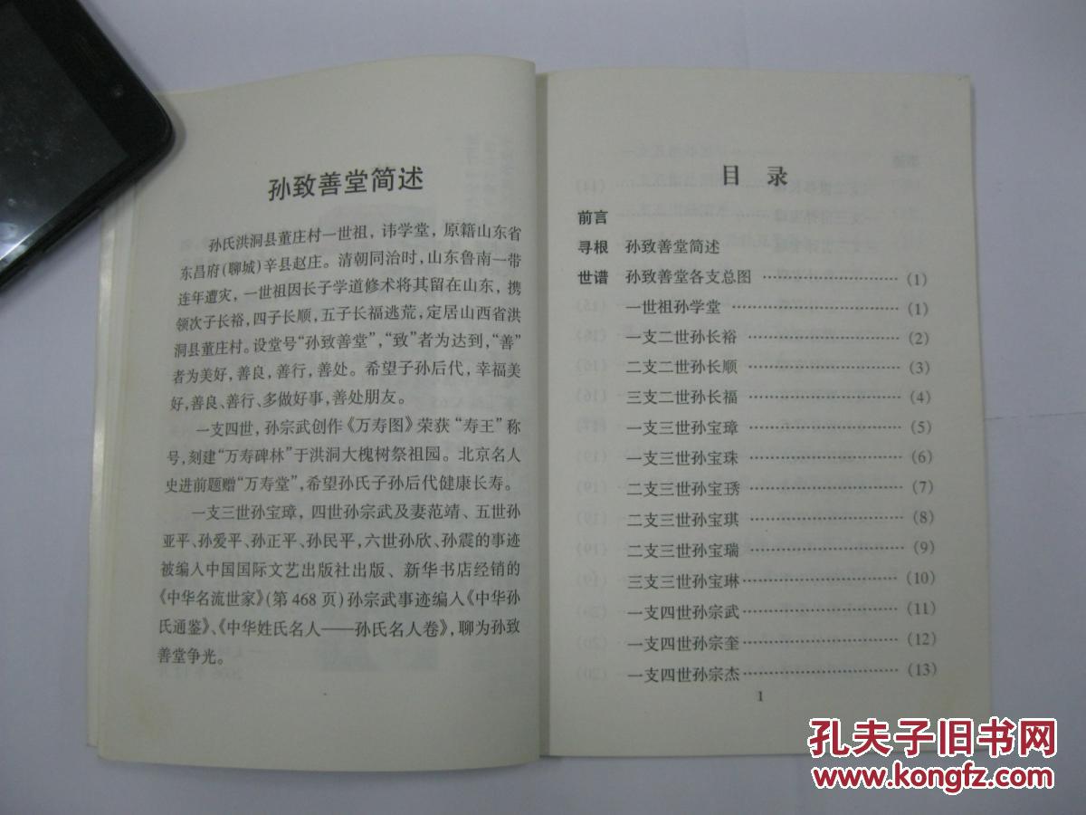 孙致善堂家谱孙氏家谱山西省洪洞县董庄村一带一世祖孙学堂原籍山东省