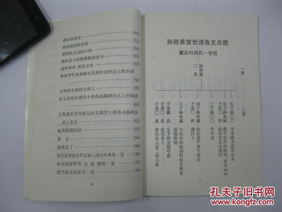 孙致善堂家谱孙氏家谱山西省洪洞县董庄村一带一世祖孙学堂原籍山东省
