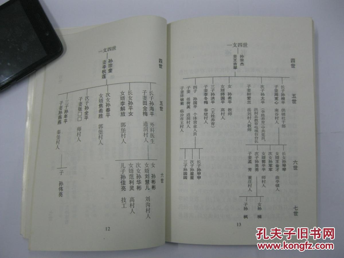孙致善堂家谱(孙氏家谱,山西省洪洞县董庄村一带.