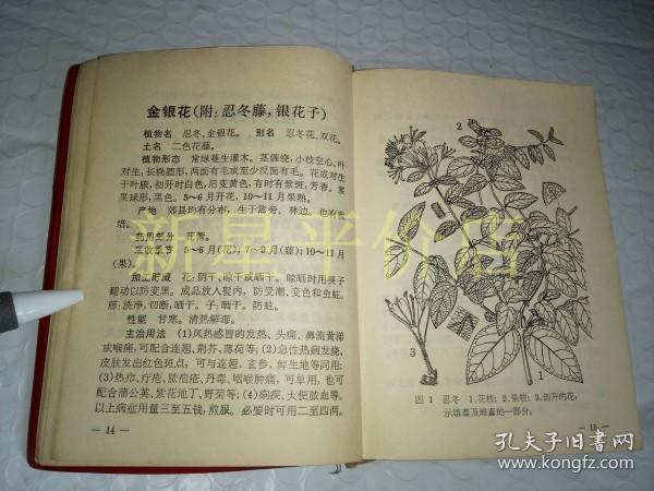 老中草药资料-------《上海常用中草药》!
