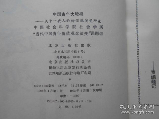 中国青年大透视:关于一代人的价值观演变研究
