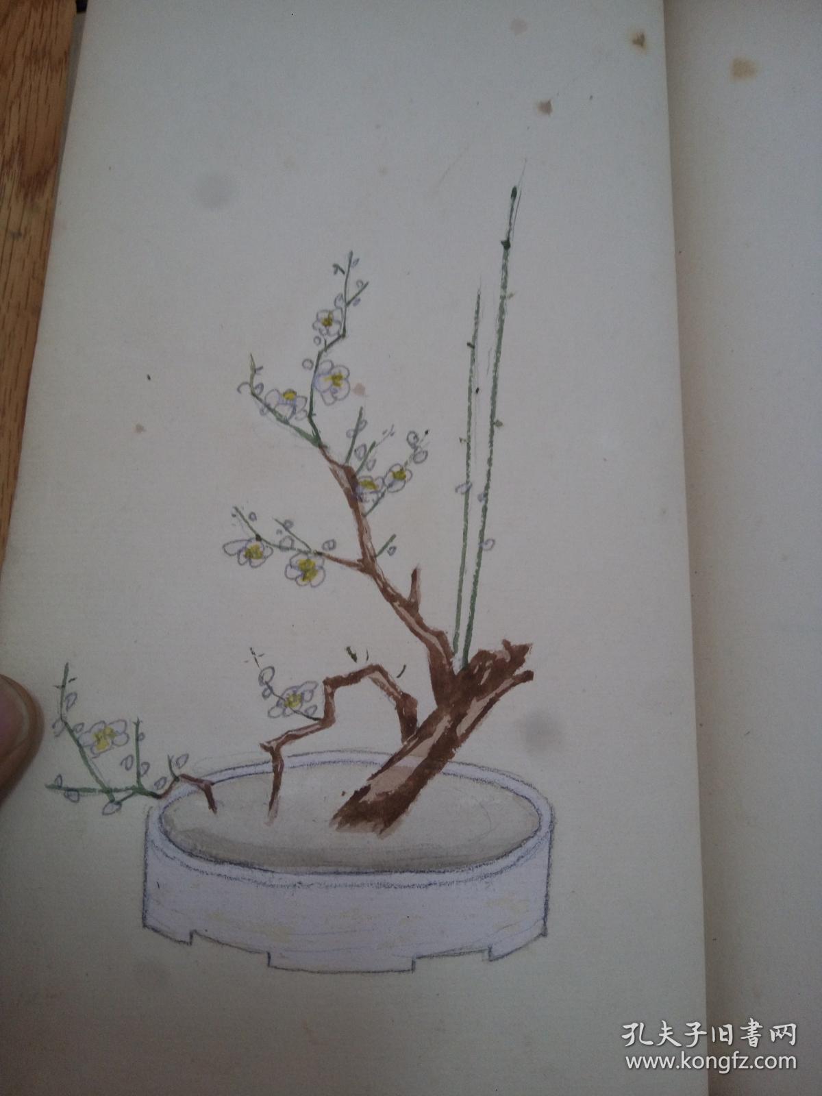 《浅草远州流枫月庵传授 插花传书》一册全,全手绘插花图版,绝大部分
