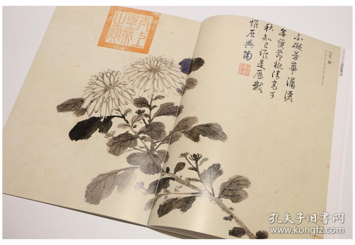 故宫画谱·花鸟卷 / 菊花