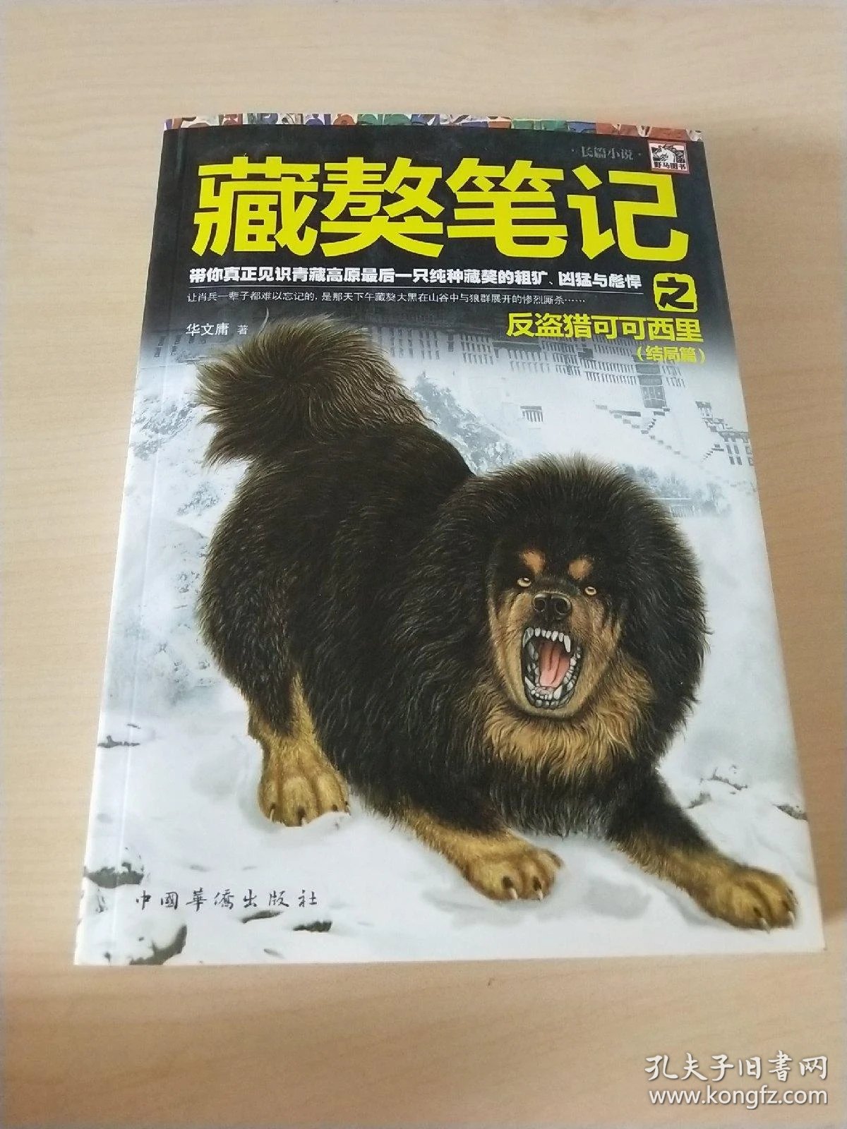 藏獒笔记之反盗猎可可西里