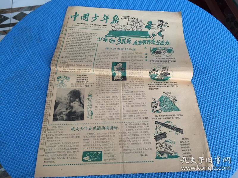【报纸】中国少年报 1960年1月11日 【第625期】