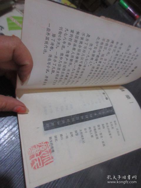 北岛诗选