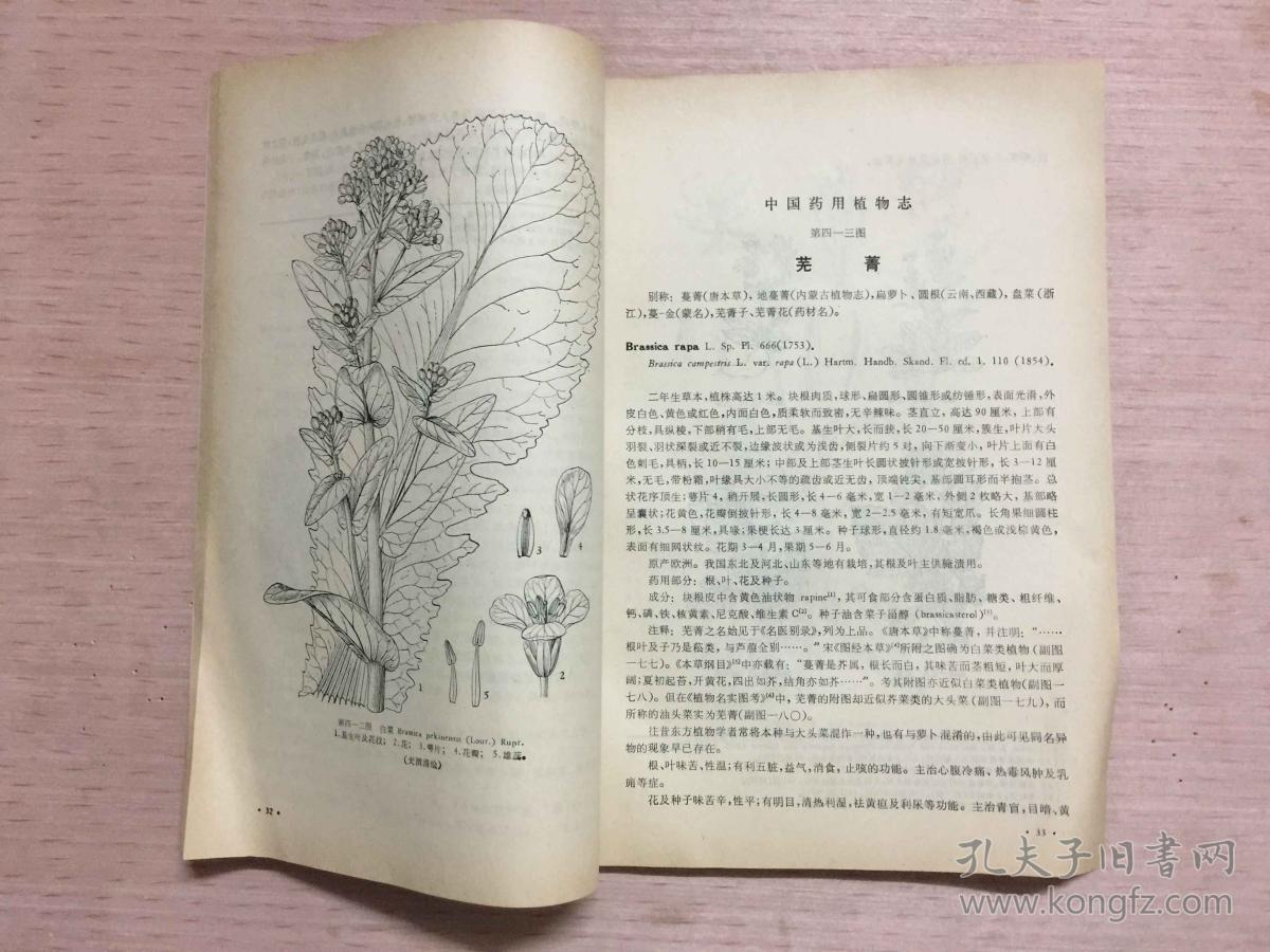 中国药用植物志(第九册)