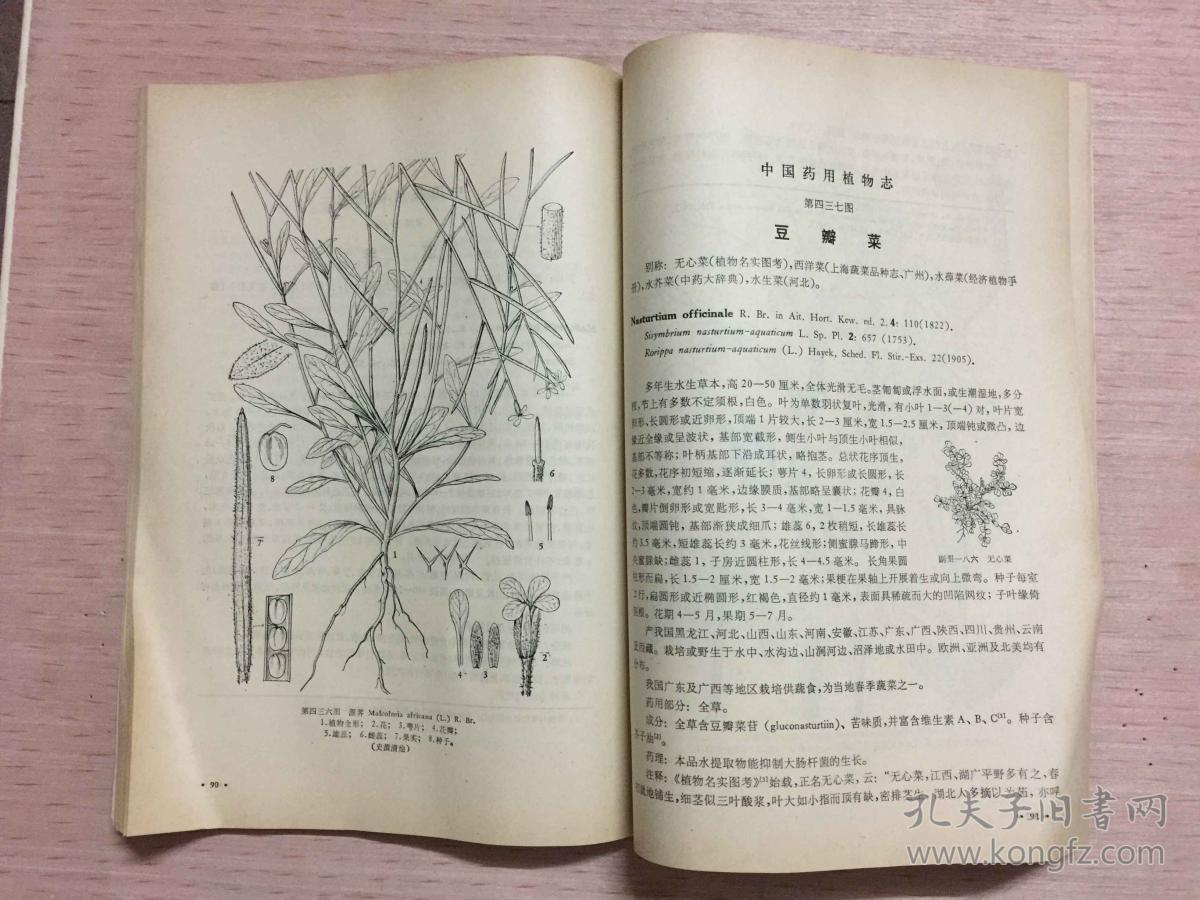 中国药用植物志(第九册)