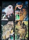 极限片：1995－5“鸮”邮票（4枚/套，均原地戳）