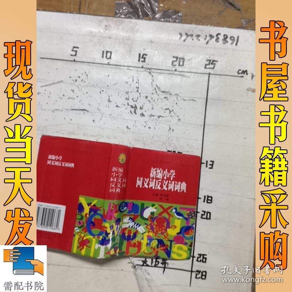 新编小学同义词反义词词典