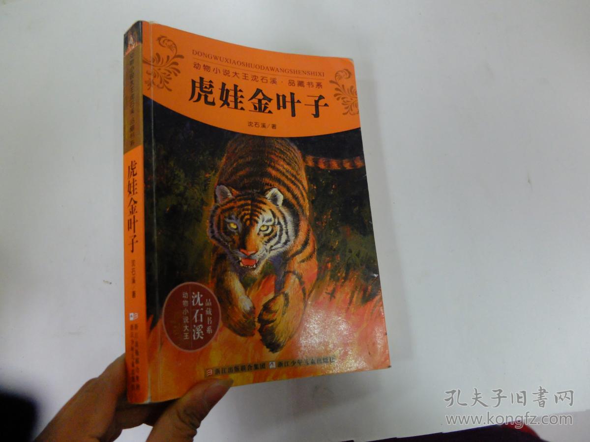 动物小说大王沈石溪品藏书系:虎娃金叶子