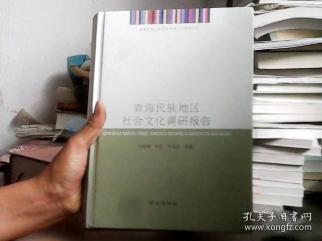 青海民族大学民族学博士点建设文库:青海民族