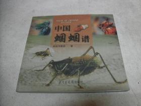 景德镇简谱_景德镇陶瓷(3)