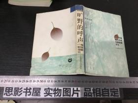 旷野的呼声:中国现代作家与基督教文化