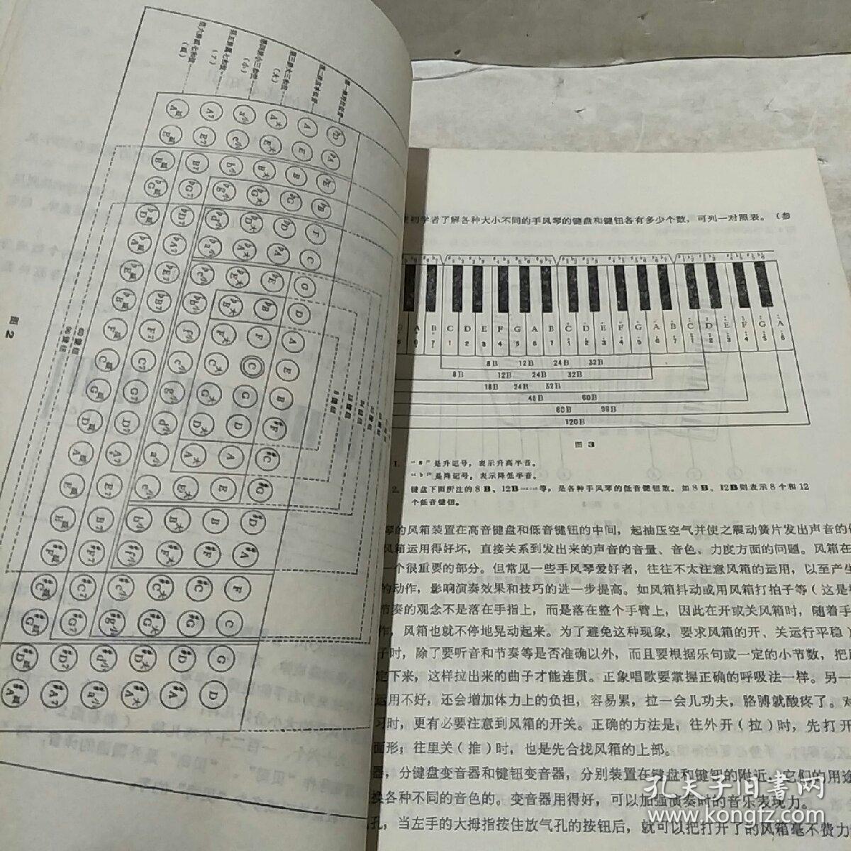 手风琴演奏法