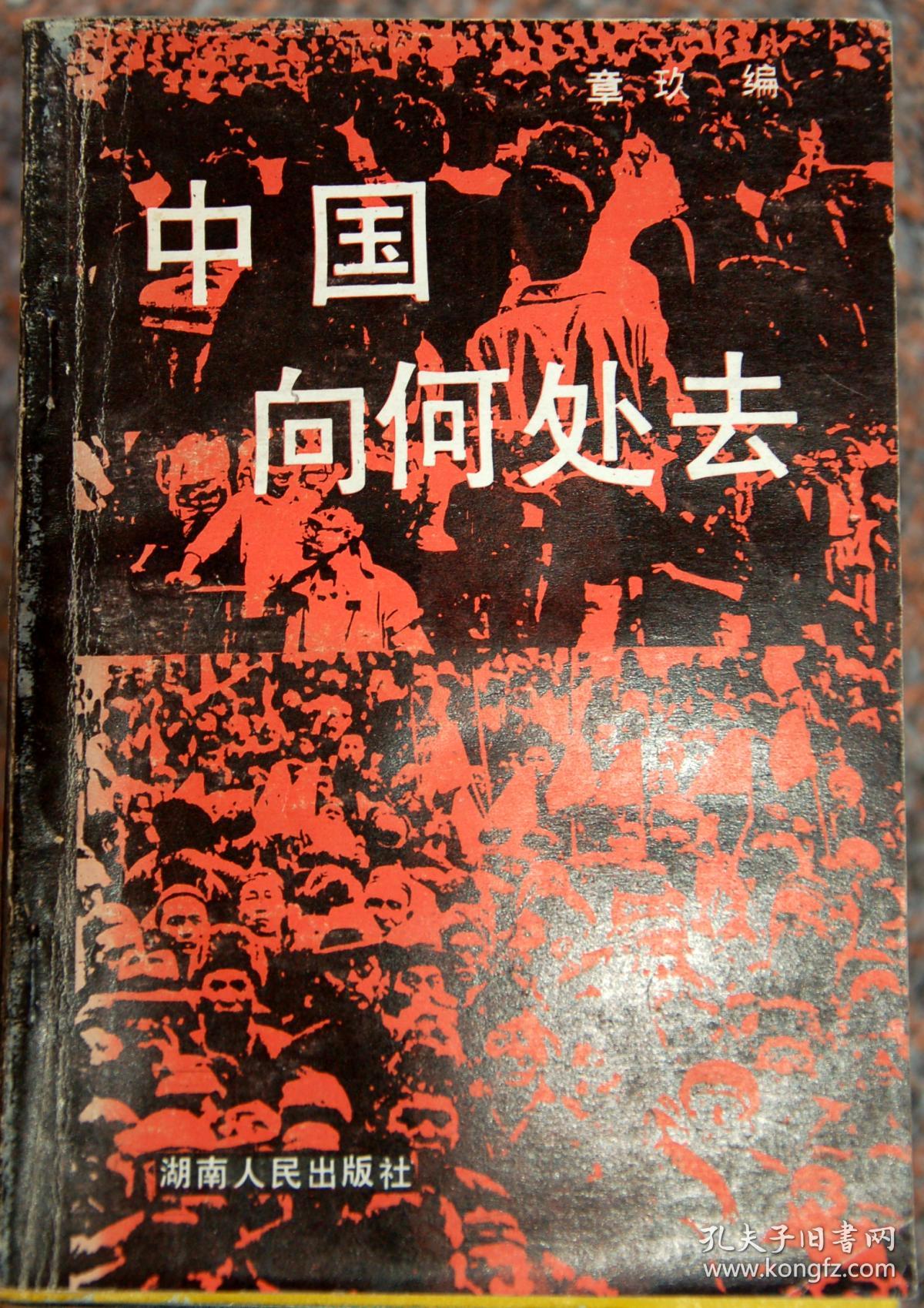 中国向何处去/章玖编