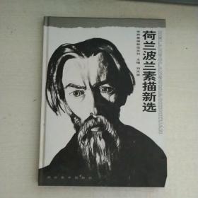 荷兰波兰素描新选